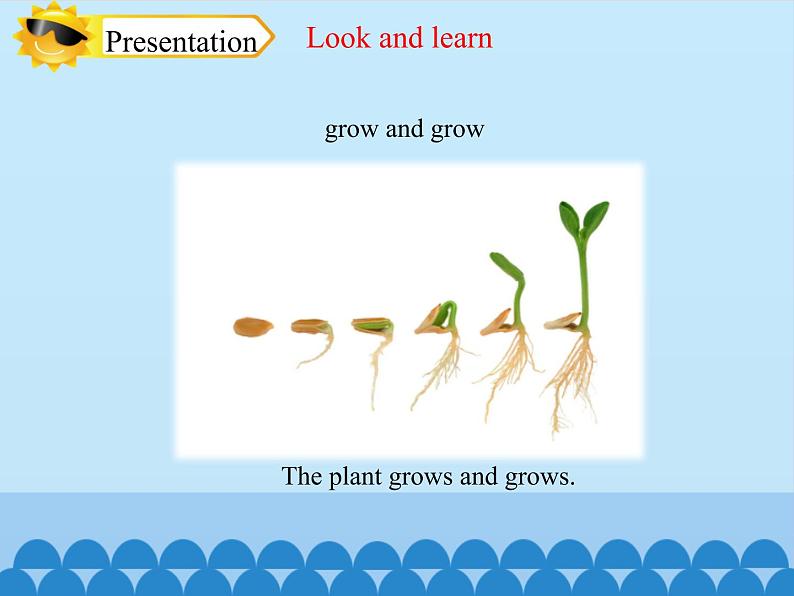 四年级下册英语课件-Module 4 Unit 10  My garden  Period 2  沪教牛津版（深圳用）08