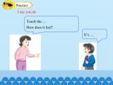 四年級下冊英語課件-Module 1 Unit 1  Touch and feel  Period 2  滬教牛津版（深圳用）