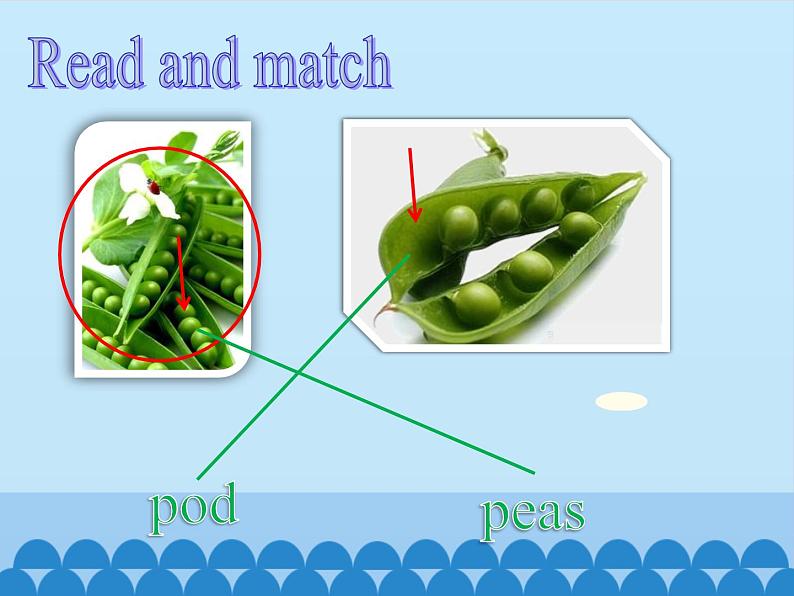 六年级下册英语课件-Module 4 Unit 12  The five peas  Period 2  沪教牛津版（深圳用）02