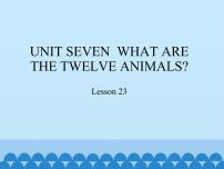 小学英语北京版六年级上册Unit 7 What are the twelve animals?Lesson 23教课内容免费ppt课件