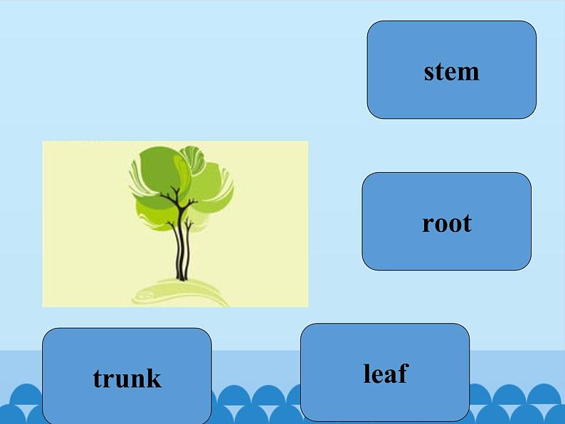 五年级下册英语课件－UNIT THREE  HOW DO SEEDS TRAVEL   Lesson 9   北京课改版04