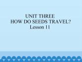 五年级下册英语课件－UNIT THREE  HOW DO SEEDS TRAVEL   Lesson 11   北京课改版