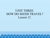 五年级下册英语课件－UNIT THREE  HOW DO SEEDS TRAVEL   Lesson 12   北京课改版