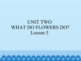 五年级下册英语课件－UNIT TWO   WHAT DO FLOWERS DO？  Lesson 5   北京课改版