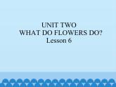 五年级下册英语课件－UNIT TWO   WHAT DO FLOWERS DO？  Lesson 6   北京课改版