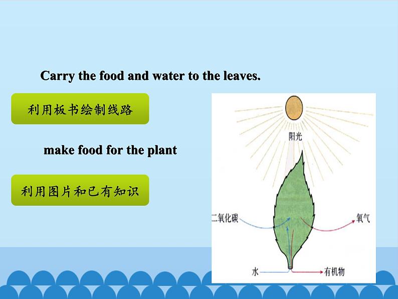 五年级下册英语课件－UNIT TWO   WHAT DO FLOWERS DO？  Lesson 6   北京课改版07