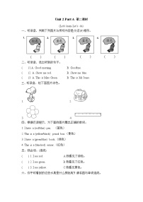 英语三年级上册Unit 2  Colours Part A精品第二课时复习练习题