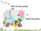 M7U2 Pandas love bamboo 課件+素材