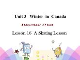 Unit 3 Winter in Canada Lesson 16 课件