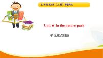 小学英语人教版 (PEP)五年级上册Unit 6 In a nature park综合与测试导学案