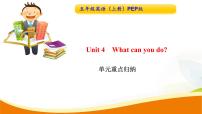 小学英语人教版 (PEP)五年级上册Unit 4 What can you do?综合与测试导学案