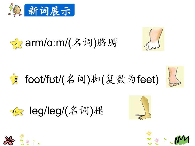 Unit 3 Lesson 14 My Body  课件+素材06