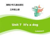 当前课程：Unit7 It’s a dog 课件