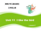 当前课程：Unit11 I like the bird 课件