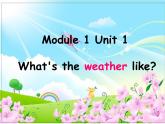 二年级下册英语课件- Module 1 Unit 1 What’s the weather like？ 外研社（一起）
