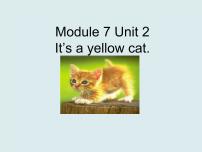 小学英语外研版 (一年级起点)一年级上册Module 7Unit 2 It's a yellow cat背景图课件ppt