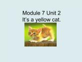 一年级上册英语课件- Module 7 Unit 2 It’s  a  yellow  dog？ 外研社（一起）