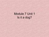 一年级上册英语课件- Module 7 Unit 1 Is it a dog？  外研社（一起）.