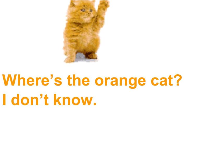 一年级下册英语课件- Module 3 Unit 1 Where’s the orange cat？    外研社（一起）06
