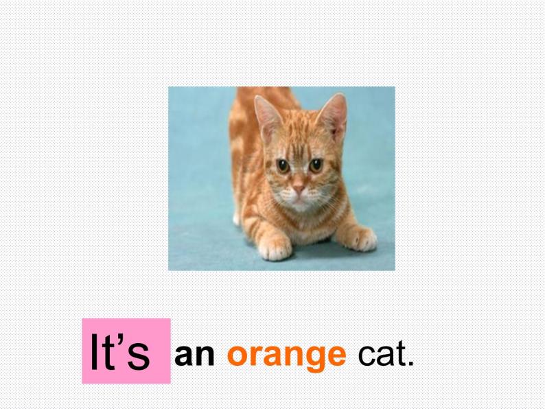 一年级下册英语课件- Module 3 Unit 1 Where’s the orange cat？  外研社（一起）05