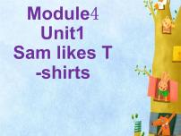 外研版 (一年级起点)二年级上册Unit 1 Sam likes T-shirts.课堂教学ppt课件