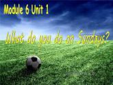二年級(jí)上冊(cè)英語(yǔ)課件- Module 6 Unit 1 What do you do on Sundays？ 外研社（一起）