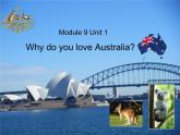 四年级下册英语课件- Module9 Unit 1 Why  do you like Australia？外研社（一起）