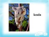四年級下冊英語課件- Module9 Unit 1 Why do you like  Australia？外研社（一起）