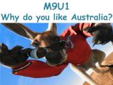 四年级下册英语课件- Module9 Unit 1 Why do you like Australia？ 外研社（一起）