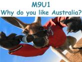 四年級下冊英語課件- Module9 Unit 1 Why do you like Australia？ 外研社（一起）