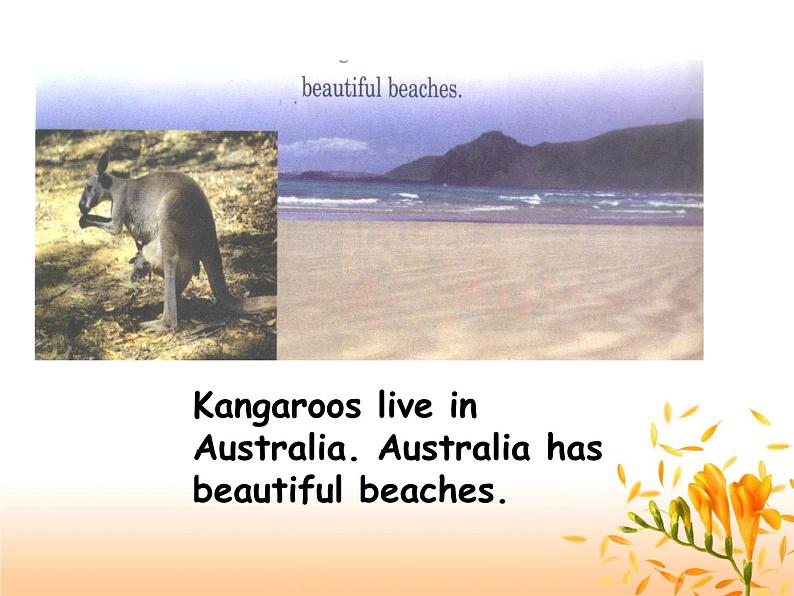 四年级下册英语课件- Module9 Unit 2 Kangaroos live in Australia.外研社（一起）第7页