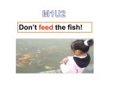 四年級下冊英語課件- Module 1 Unit 2 Don’t feed the fish!   外研社（一起）