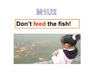 小学英语外研版 (一年级起点)四年级下册Module 1Unit 2 Don't feed the fish!说课课件ppt