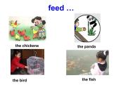 四年級下冊英語課件- Module 1 Unit 2 Don’t feed the fish!   外研社（一起）
