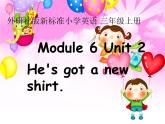 三 年級上冊英語課件- Module 6 Unit 2 He's got a new shirt.  外研社（一起）
