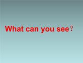 三年级上册英语课件- Module 4 Unit 2 What can you see？ 外研社（一起）