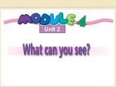 三年级上册英语课件- Module 4 Unit 2 What can you see？外研社（一起）