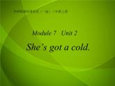 三年级上册英语课件- Module 7 Unit 2 She’s got a cold.  外研社（一起）