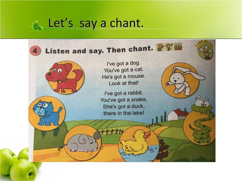 三年级上册英语课件- Module 7 Unit 2 She’s got a cold.  外研社（一起）02