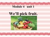 三年级下册英语课件- Module 4 Unit 1 We'll pick  fruit.外研社（一起）