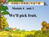 三年级下册英语课件- Module 4 Unit 1 We'll pick  fruit. 外研社（一起）