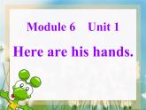 三年级下册英语课件- Module 6 Unit 1 Here are his hands. 外研社（一起）