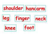 三年級下冊英語課件- Module 6 Unit 1 Here are his hands. 外研社（一起）