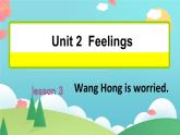 Unit 2 Lesson 3 Wang Hong IS worried. 课件