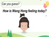 Unit 2 Lesson 3 Wang Hong IS worried. 课件