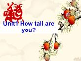 六下 Unit 1 How tall are you? Part A 课件+素材