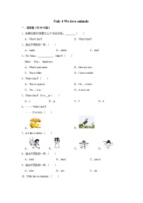 小学英语Unit 4 We love animals综合与测试复习练习题