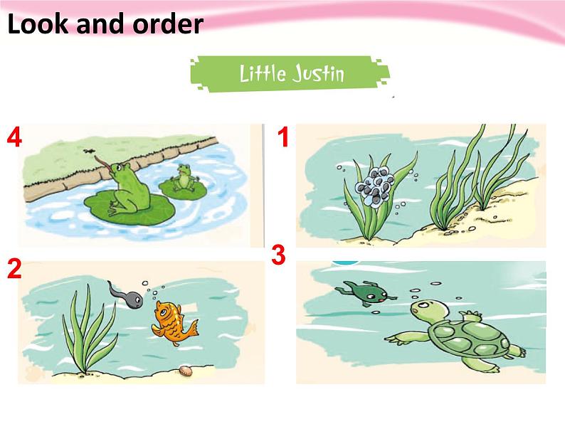 Unit 1 Growing up Period 3 ppt课件第6页