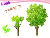 Unit 1 Growing up Period 1 ppt课件