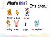 Unit 4 We love animals B Let's talk 课件（含视频素材）